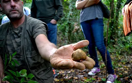 Full-Day Small-Group Truffle Hunting in Tuscany with Lunch