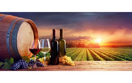 Chianti Wine Tour from Florence to San Gimignano with 2 Wineries