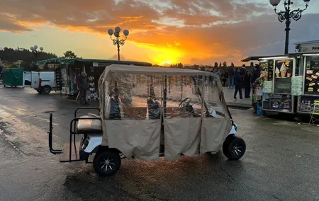 Florence Private Electric Car Tour with Guide