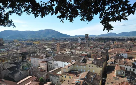 Florence Private Day Trip to Pisa and Lucca