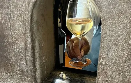 Michelangelo’s David & A Sip Through a Wine Window Experience