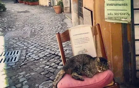 Private Guided Half-Day City Walking Tour in Florence