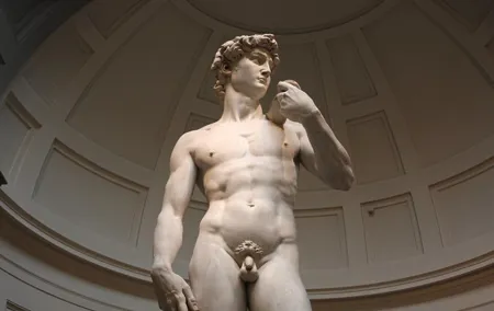 The David from Michelangelo.