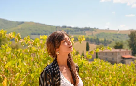 Florence: Private Half-Day Chianti Tour and Wine Tasting Optional