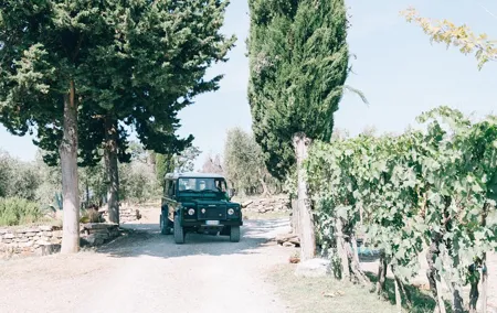 Private Off Road Wine Tour in Chianti from Florence