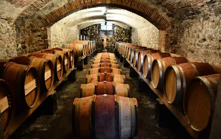 Exclusive Chianti Classico Day Trip from Florence
