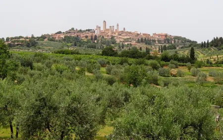 Private Tour to Siena and San Gimignano with Wine Tasting & Lunch