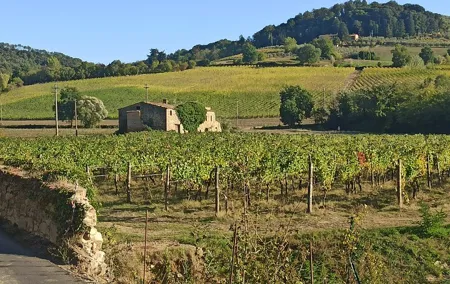 PRIVATE TOUR: Chianti Afternoon tour with visit to 2 wine farms