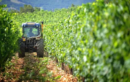 Chianti Vineyards Tours in Private Luxury Van from Florence