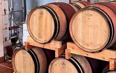 Chianti Winery + Brolio Castle Private Tour