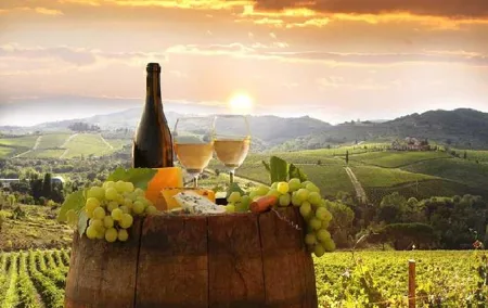 Private Chianti wine tour leaving from Florence