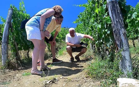 Chianti Classico and Super Tuscan 3 Winery Tour