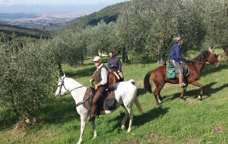 Horse ride, Olive Oil and local foods tasting in a Tuscan farm