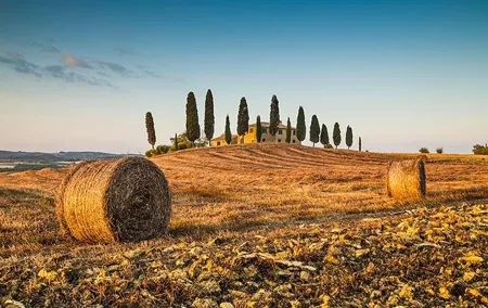 Private Chianti Tuscany Wine Tasting Tour from Florence