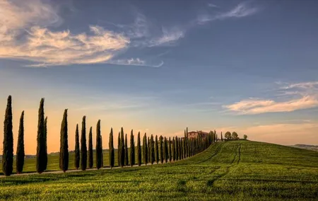Private Tour: Medieval Val d'Orcia by Minivan from Florence