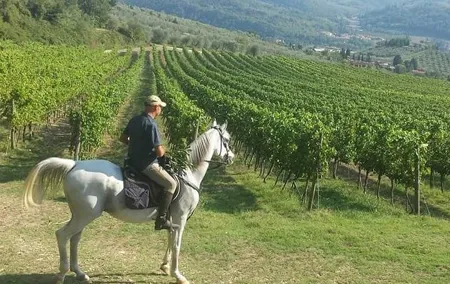 Horseback ride and gourmet cuisine in a historic food shop