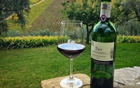 Siena and Chianti Wineries Excursion by Private Luxury Van from Florence