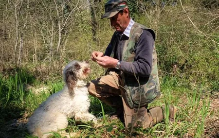 Private Truffle Hunting in Chianti from Florence