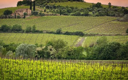 Private tour Brunello di Montalcino and Nobile di Montepulciano wine experience in Tuscany