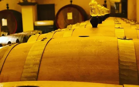 Private Top Brunello Montalcino Wine Tour & Food Pairing Session