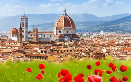 Florence and Chianti Private Wine Tasting Tour from Florence