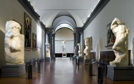 Skip-the-Line Accademia Guided Visit: David Secrets and Beyond