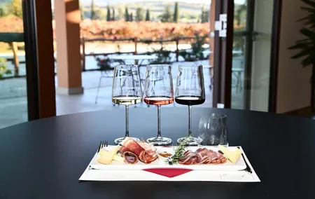 Exclusive Bolgheri from Florence: The Land of the Super Tuscan