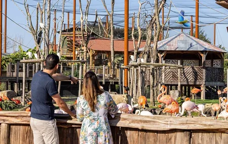 Parrot World Immersive Wildlife Park Entry Ticket next to Paris