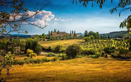 Private Carmignano Tour: The First Cabernet Sauvignon in Tuscany