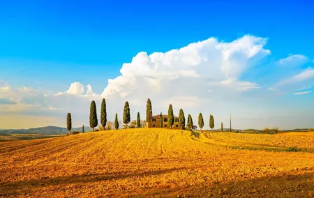Tuscany Private Tour with Wine and Cheese Tasting from Florence