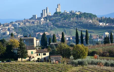Private Tuscany Day Tour: San Gimignano and Chianti Wine Region from Florence
