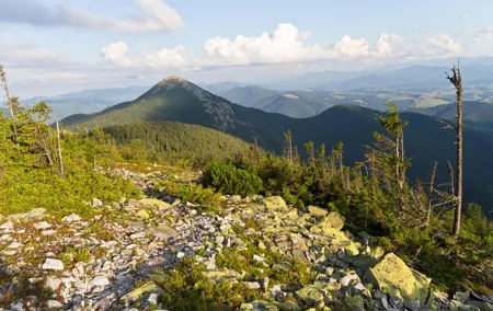 Wild Carpathians: discovering Gorgany (private tour)
