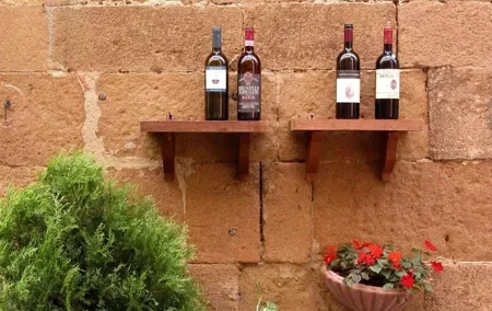 Day trip Brunello wine tours from Florence
