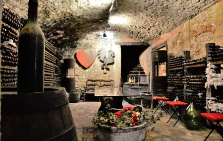 Private Tuscan Dinner Half Day from Florence