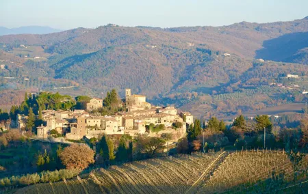 Private Tour: Chianti Region Tour by Minivan
