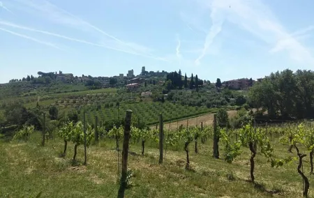 San Gimignano, Saffron and Vernaccia Wine from Florence
