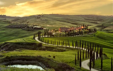 Guided tour in wonderful Tuscany