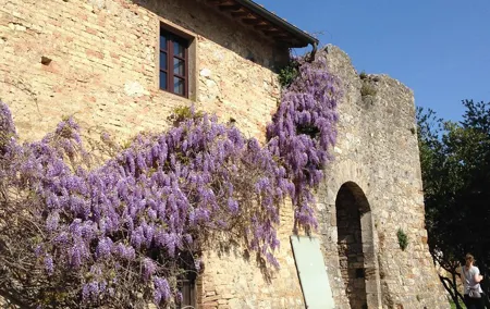 Exclusive Private tour To Siena and San Gimignano