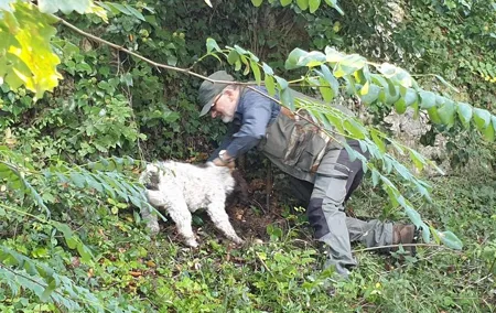 Truffle hunt, Lunch, Horse riding, a top half-day near Florence
