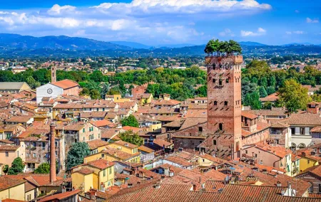 Lucca, Pisa and Livorno from Florence Private Car Tour