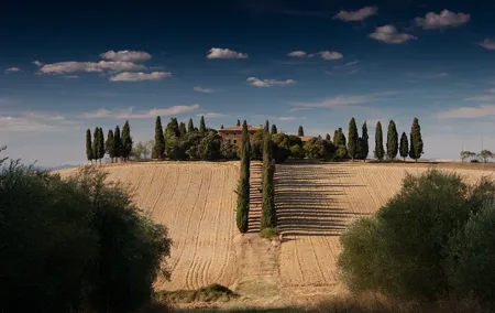 Private Chianti Wine Tour from Florence Half-Day Experience
