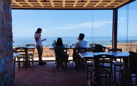 From Florence PRIVATE:Bolgheri Wine Tour,tasting among the Tuscany coastal hills