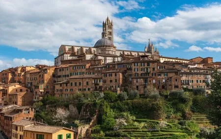 Exclusive Tour from Florence: Siena, Chianti and San Gimignano