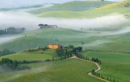 Full Day PRIVATE Guided Tour in Val D'Orcia Region