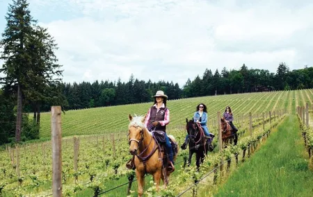 Horseback Ridings and Wine Tastings in a Winery of San Gimignano