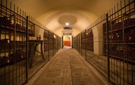 Wine Tour Experience
