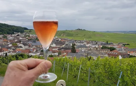 Champagne Tour from Paris by minivan with Reims Cellars & Champagne Tasting