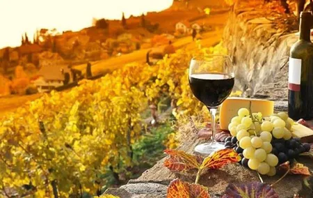 Chianti Private Tour with Dinner and Wine Tasting Experience