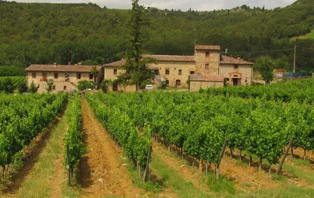 Chianti Day trip from Florence