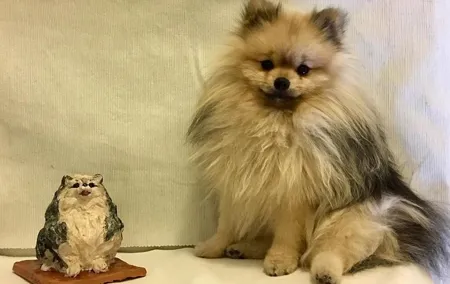 Sculpt to Florentine Pet